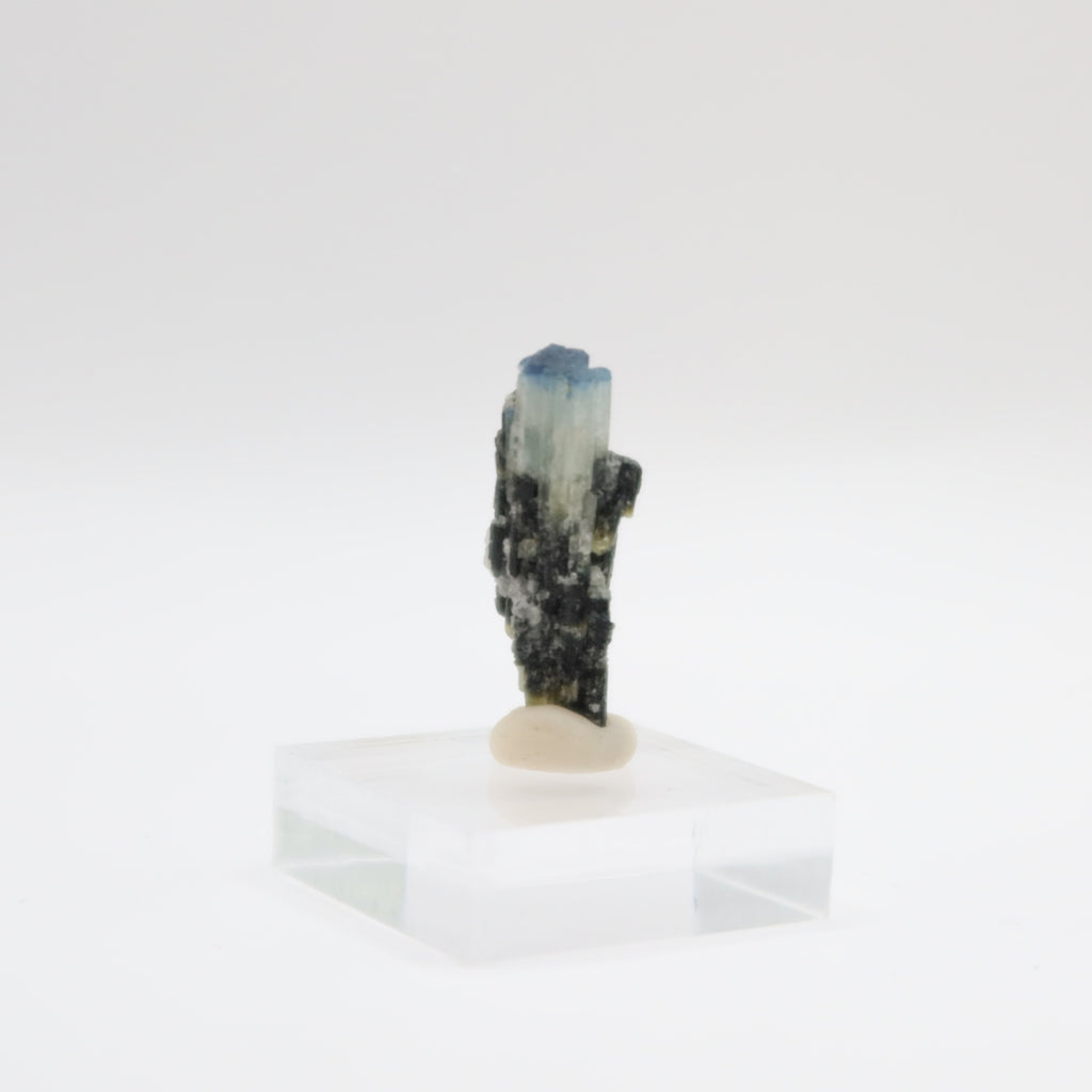 Black Tourmaline - Blue Cap