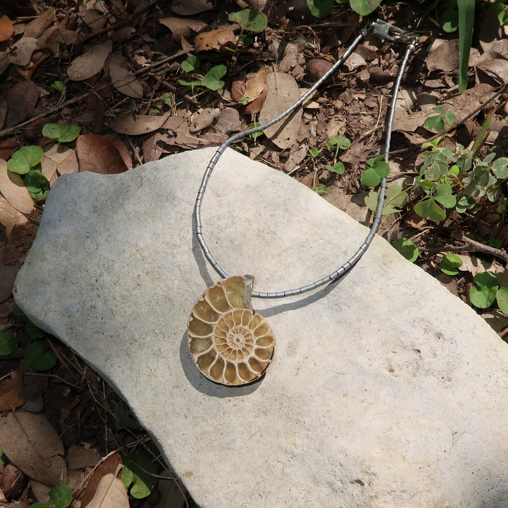 PORTAL Clasp - Ammonite