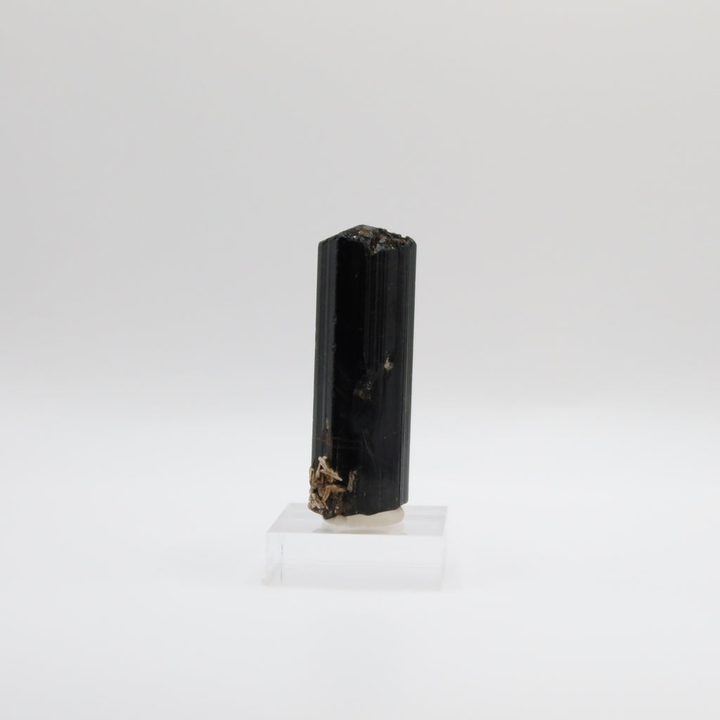 Black Tourmaline (III)