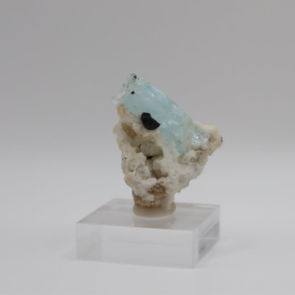 Aquamarine Beryl with Black Tourmaline (III)