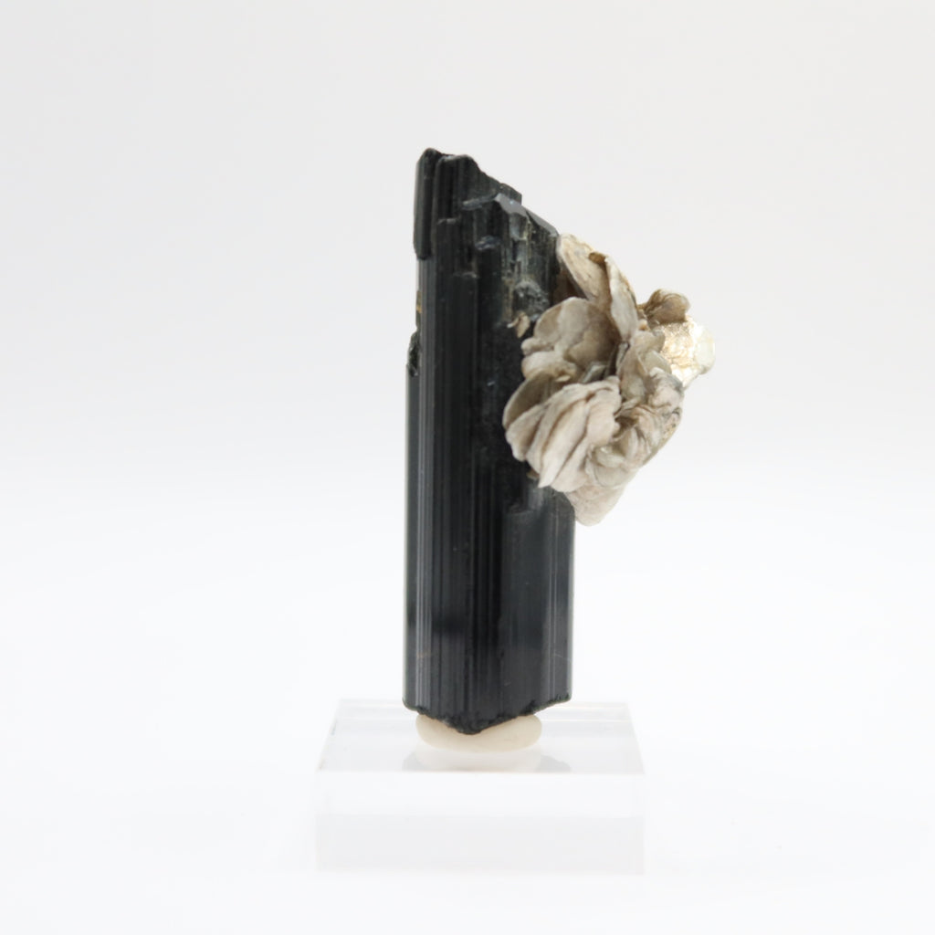 Black Tourmaline (I)