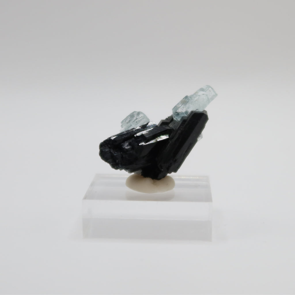 Aquamarine Beryl with Black Tourmaline (II)