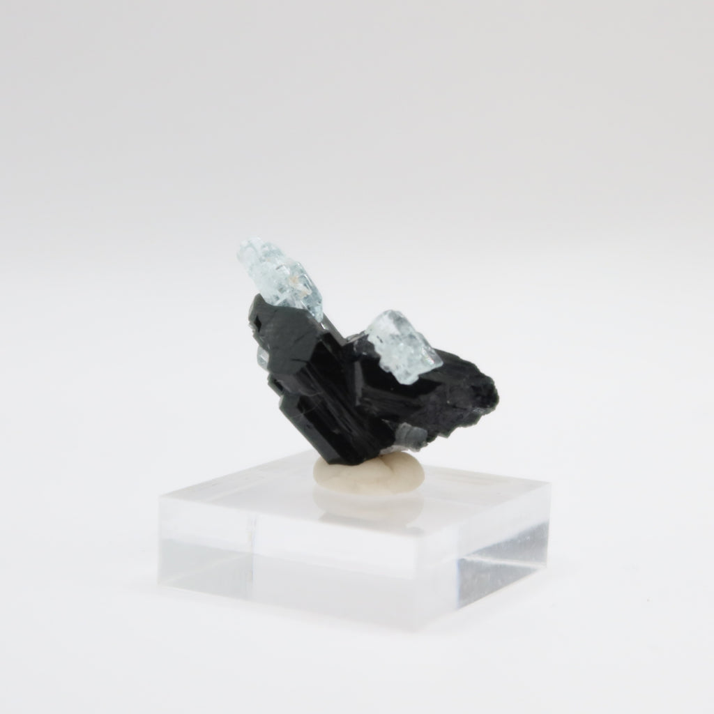 Aquamarine Beryl with Black Tourmaline (II)