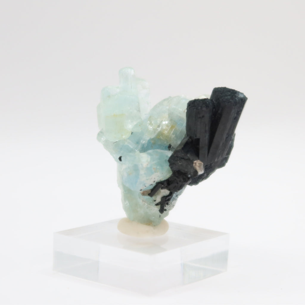 Aquamarine Beryl with Black Tourmaline (I)