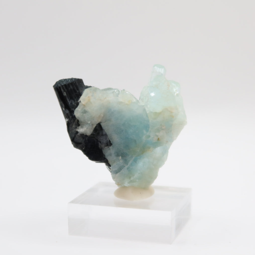 Aquamarine Beryl with Black Tourmaline (I)